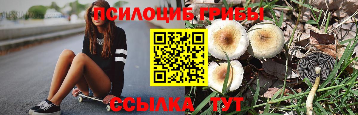 Псилоцибиновые грибы GOLDEN TEACHER  Псилоцибиновые грибы MAGIC MUSHROOMS  Москва  Вход с VPN 